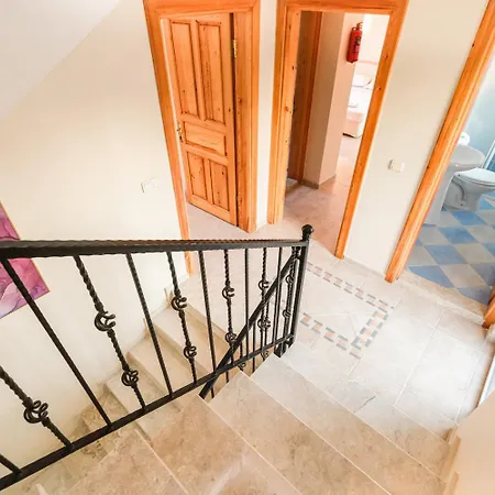 Begonvil * フェティエ